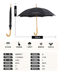 Umbrella Definitive Sample