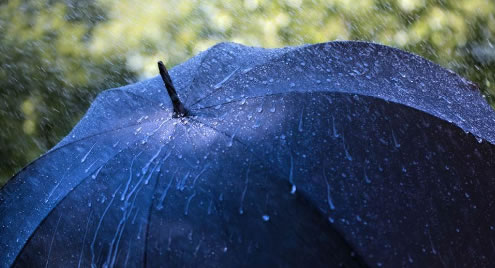 Sun Umbrella