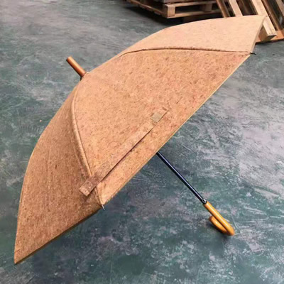 Umbrella Custom