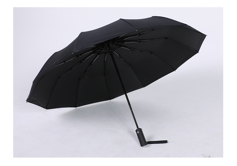 Sun & Rain Umbrella