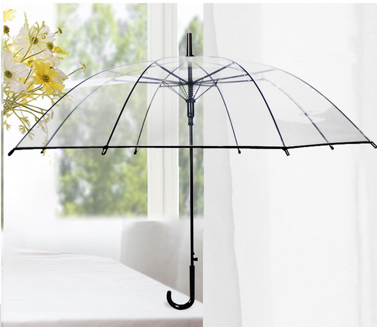 Transparent umbrella