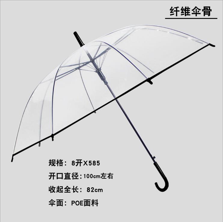 Transparent umbrella