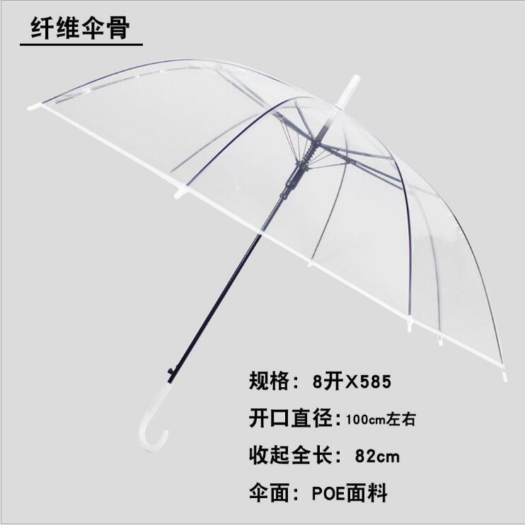 Transparent umbrella