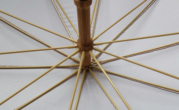 Bamboo Umbrella Bone