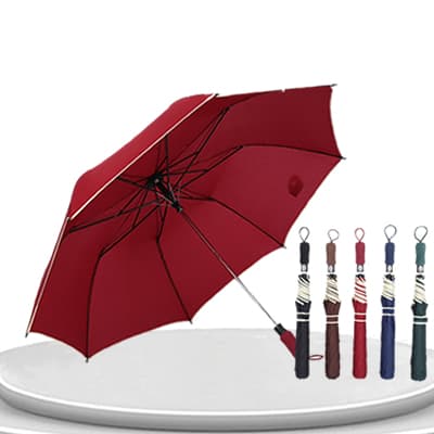 Two-fold umbrella