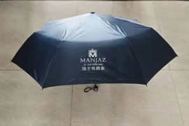 Swiss Prestige Gift Folding Umbrella case