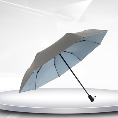 21 inch Titanium Silver Umbrella