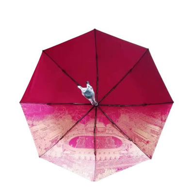 School gift umbrella