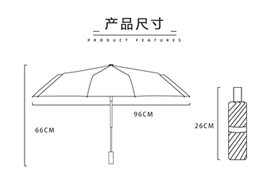 What size does a folding umbrella have?