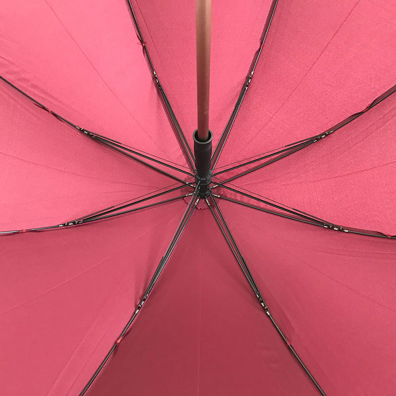 Cane umbrella rib