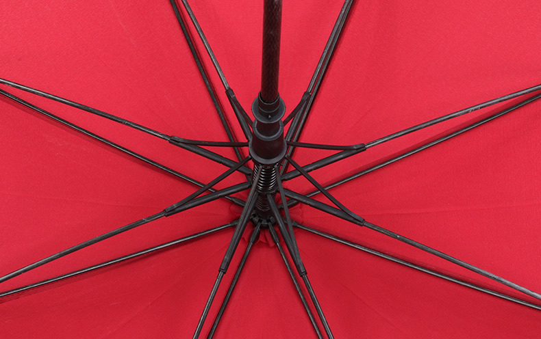 Umbrella frame