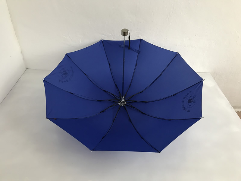 Folding Umbrella