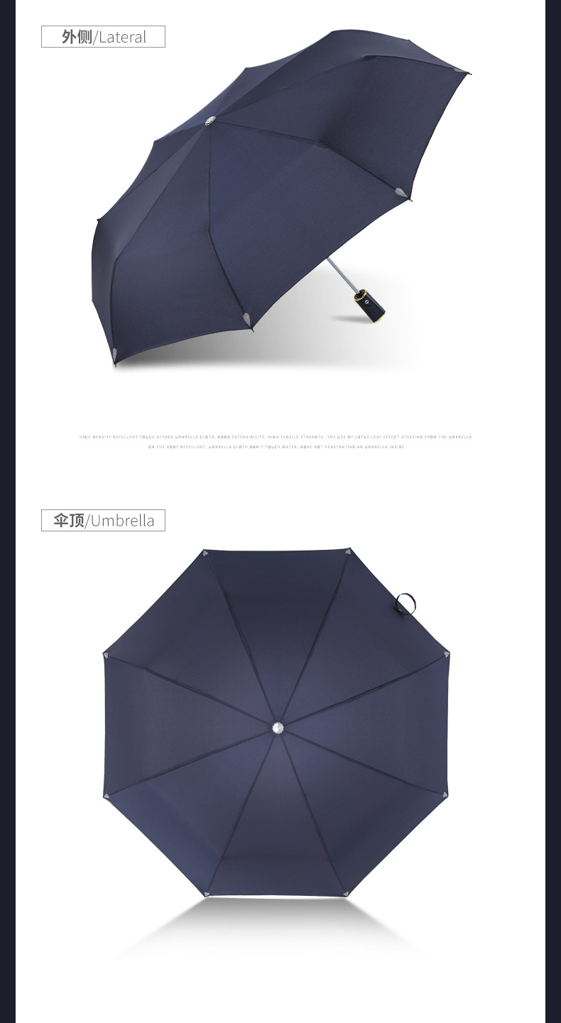 Umbrella