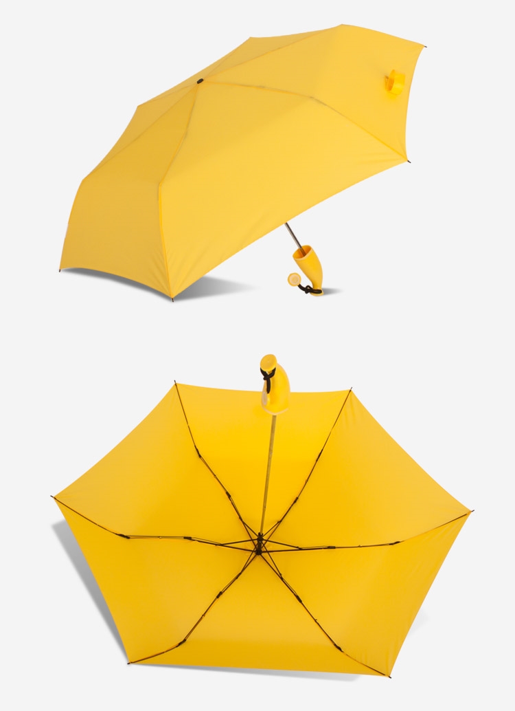Fruit Umbrella