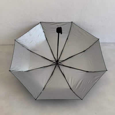 Folding Umbrella