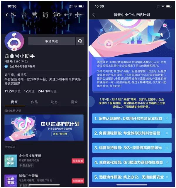 Advertising Umbrella