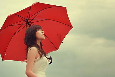 umbrella manufacturer