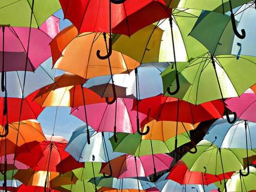 Umbrellas decorate the scene
