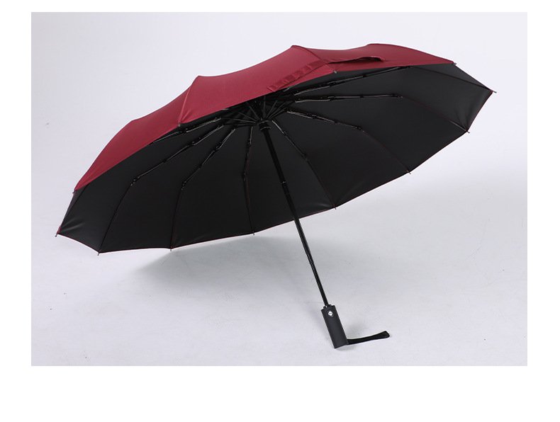 Black coating Umbrella