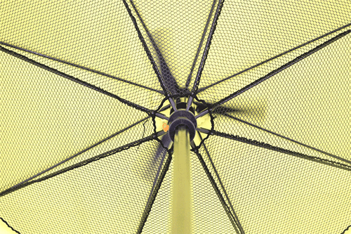 Umbrella Fan