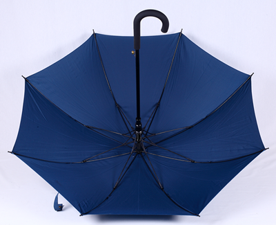 Umbrella Custom