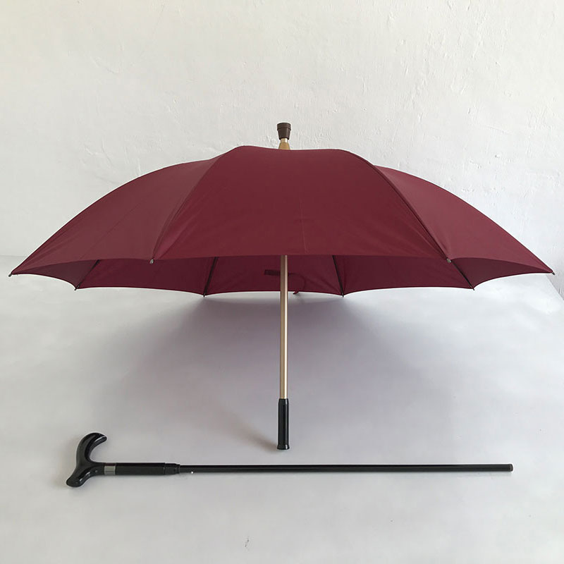 Cane umbrella