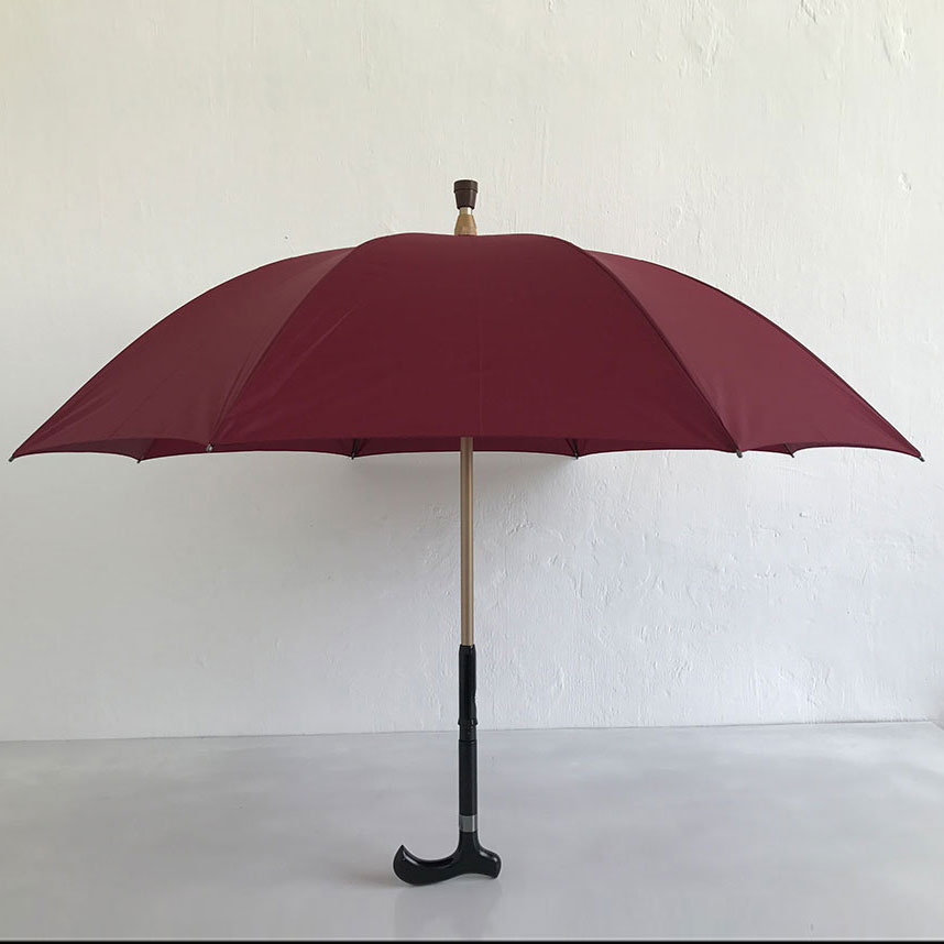 Walking stick umbrella