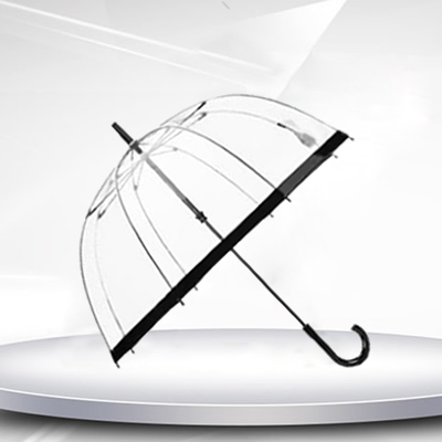 Apollo Transparent Umbrella