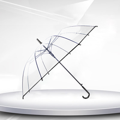 Transparent umbrella