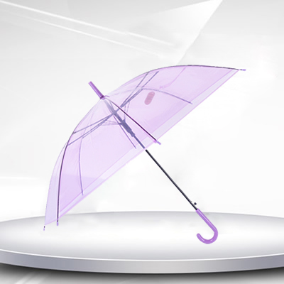 Transparent umbrella